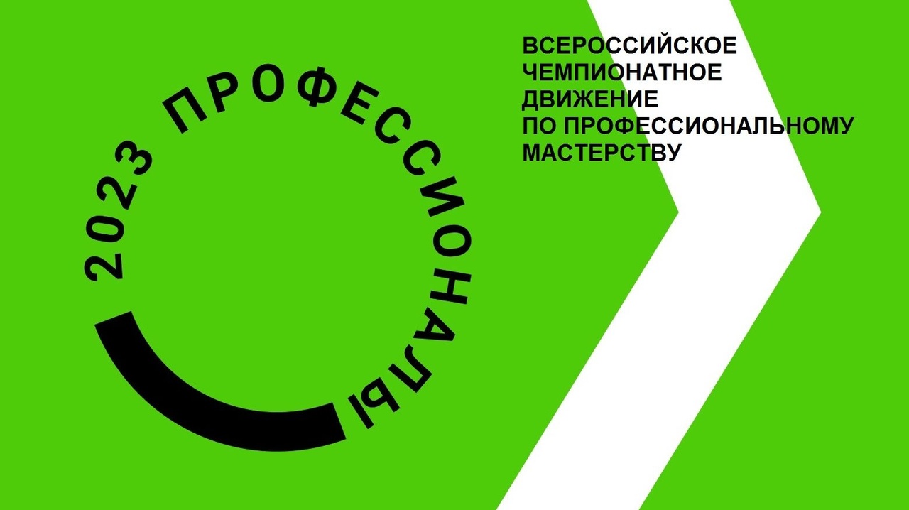 Чемпионат по профессиональному мастерству &amp;quot; Профессионалы&amp;quot;.